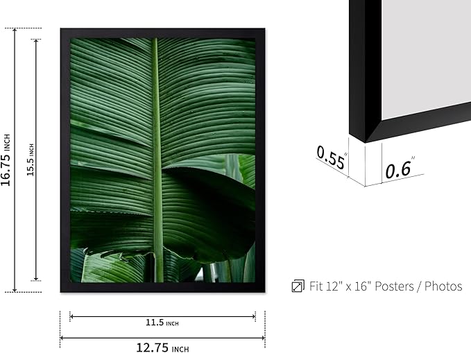 Monem Art Tropical Banana Leaf Photography Print - Minimalist Botanical Nature Poster - Wall Decor for Living Room, Bedroom or Office - 12x16 Black Framed Wall Art by Mareike Bohmer