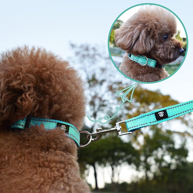 NESTROAD Dog Collar and Leash Set,Reflective Dog Collars with Quick Release Buckle,Adjustable Nylon Pet Collar for Small Medium Large Dogs(Large,Teal)