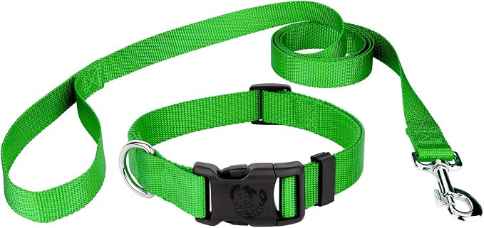 Country Brook Petz - Everyday Nylon Dog Collar and Leash - 10+ Cool Colors (1 Inch, Extra Large, Hot Lime Green)