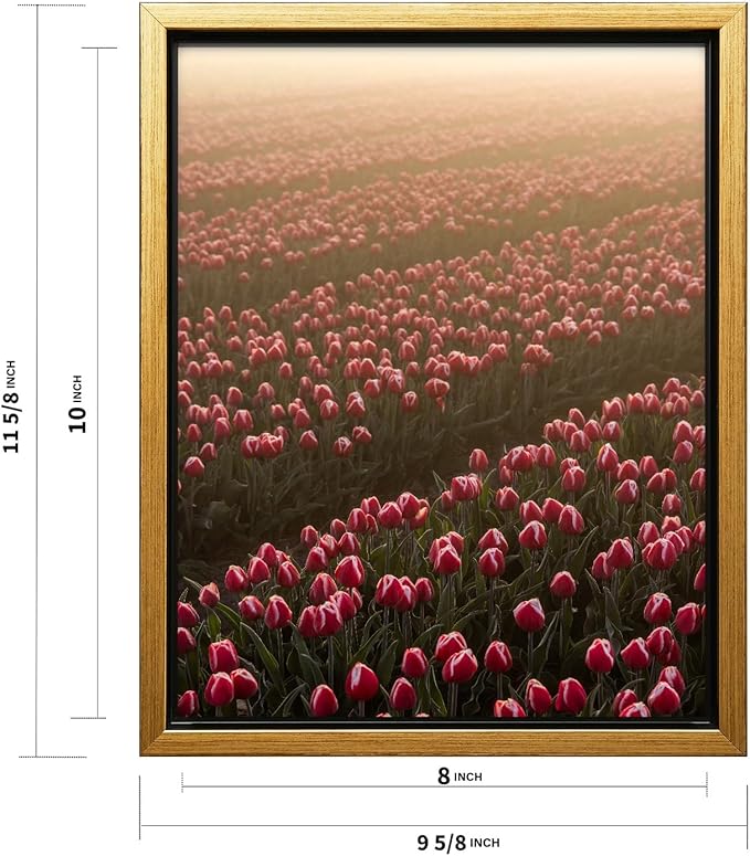 Monem Art Golden Tulip Field Sunset Photography Print - Romantic Spring Landscape Art Poster - Wall Decor for Living Room, Bedroom or Office - 8x10 Gold Framed CANVAS Wall Art by Mareike Bohmer