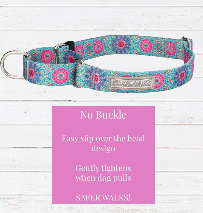 Lucky Love Dog Martingale Dog Collar - Adjustable, No-Slip, Durable, & Soft Webbing Collar for Male and Female Dogs Ideal for Training & Walking - Clara, Medium