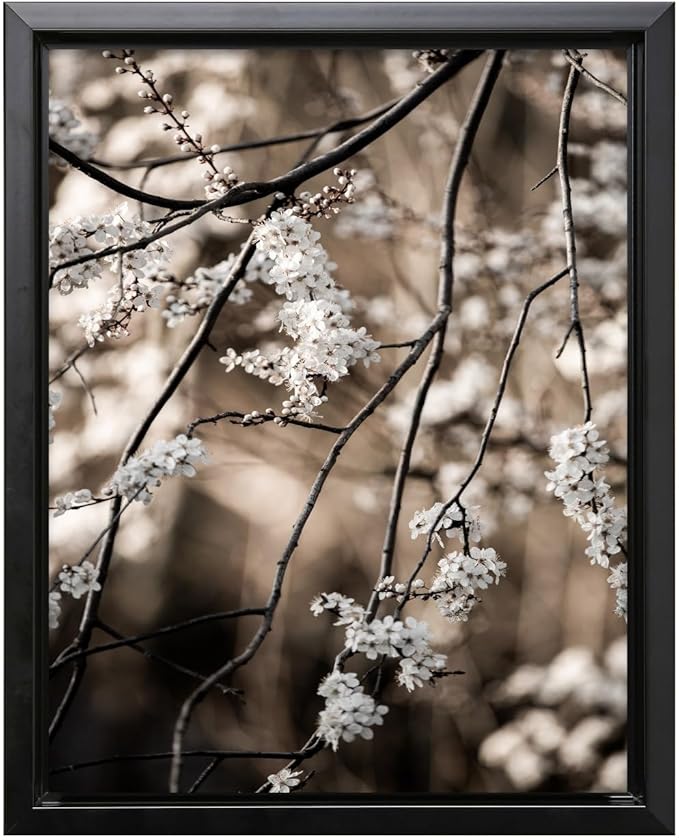 Monem Art Cherry Blossom Branch Photography Print - Moody Botanical Nature Art Poster - Wall Decor for Living Room, Bedroom or Office - 8x10 Black Framed CANVAS Wall Art by Mareike Bohmer