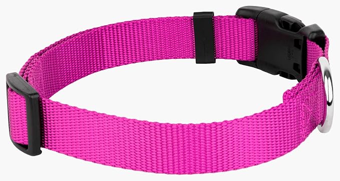 Country Brook Petz - Everyday Nylon Dog Collar and Leash - 10+ Cool Colors (1 Inch, Extra Large, Fuchsia)
