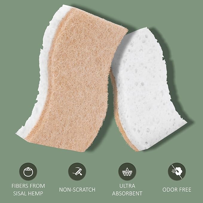 Isshah Plant-Based Natural Kitchen Sponges for Dishes- FSC Certified and PETA Approved, 12 Count
