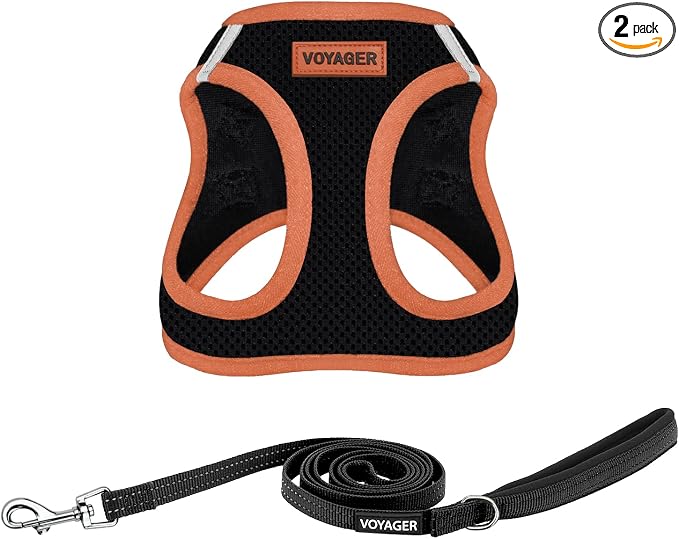 Best Pet Supplies Voyager Step-in Air All Weather Mesh Harness and Reflective Dog 5ft Leash Combo with Neoprene Handle, for Small, Medium and Large Breed Puppies - Set (Black/Orange Trim), X-Small