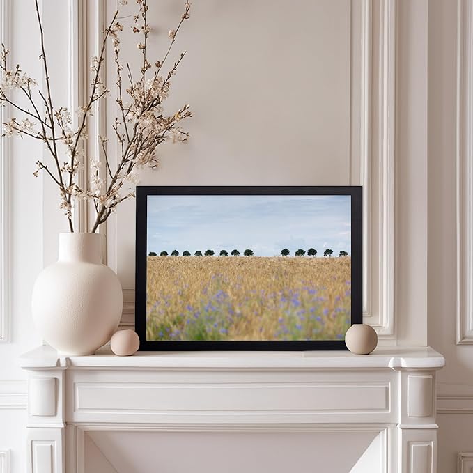 Monem Art Golden Meadow Horizon Landscape Print - Minimalist Nature Photography Poster - Wall Decor for Living Room, Bedroom or Office - 12x16 Black Framed Wall Art by Mareike Bohmer
