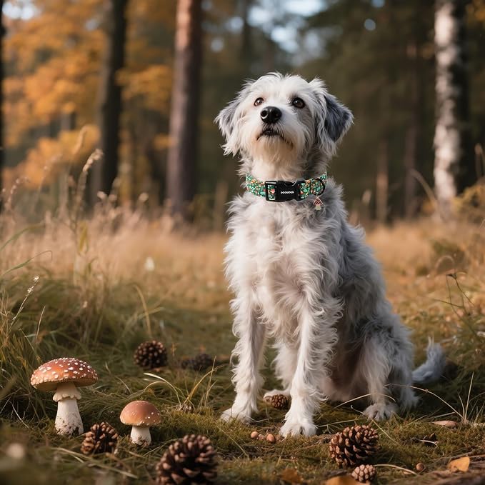 DOGWONG Fall Dog Collar, Autumn Dog Collar Adjustable Soft Natural Fabric Mushroon Pet Dog Collars Cute Puppy Necklace for Small Medium Large Dogs