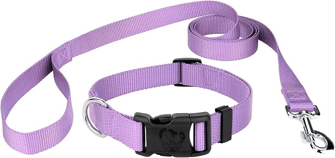 Country Brook Petz - Everyday Nylon Dog Collar and Leash - 10+ Cool Colors (3/8 Inch, 2XS, Lavender)
