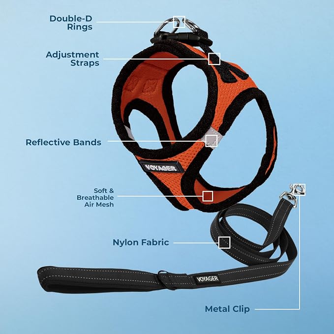 Best Pet Supplies Voyager Step-in Air All Weather Mesh Harness and Reflective Dog 5ft Leash Combo with Neoprene Handle, for Small, Medium and Large Breed Puppies - Orange/Black Trim, X-Large