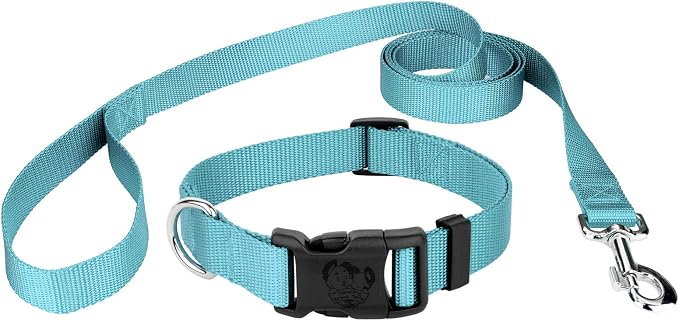 Country Brook Petz - Everyday Nylon Dog Collar and Leash - 10+ Cool Colors (3/4 Inch, Small, Ocean Blue)