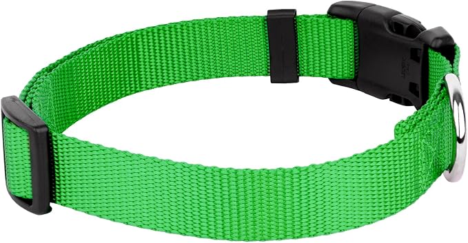 Country Brook Petz - Everyday Nylon Dog Collar and Leash - 10+ Cool Colors (3/4 Inch, Medium, Hot Lime Green)