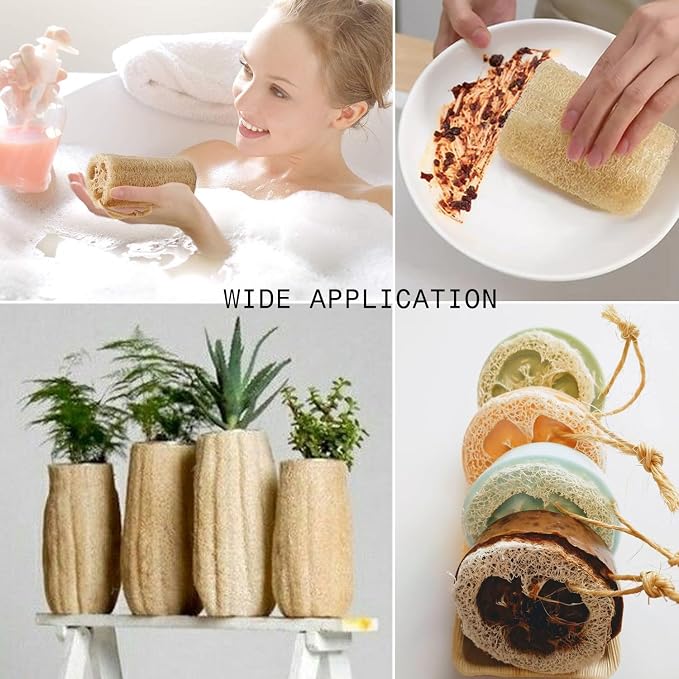 6 Pack Natural Loofah Sponges, 5 Inch Long Organic Real Loofah Exfoliating Body Scrubber Luffa Sponge Natural Loofah Bulk for Men Women in Bath Shower Deep Clean