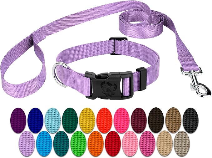 Country Brook Petz - Everyday Nylon Dog Collar and Leash - 10+ Cool Colors (3/8 Inch, 2XS, Lavender)