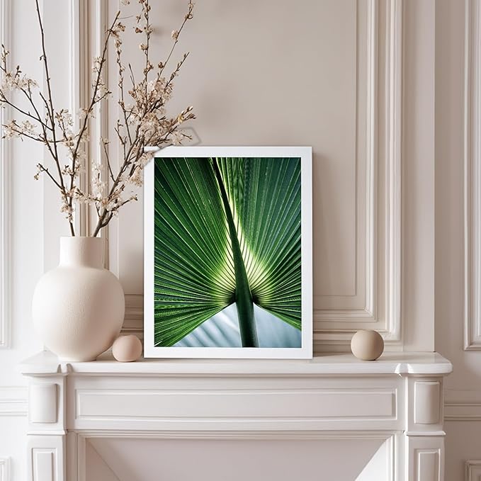 Monem Art Tropical Palm Leaf Macro Photography Print - Minimalist Botanical Nature Art Poster - Wall Decor for Living Room, Bedroom or Office - 8x10 White Framed Wall Art by Mareike Bohmer