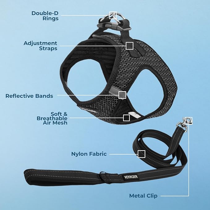 Best Pet Supplies Voyager Step-in Air All Weather Mesh Harness and Reflective Dog 5ft Leash Combo with Neoprene Handle, for Small, Medium and Large Breed Puppies - Set (Gray 2-Tone), Large