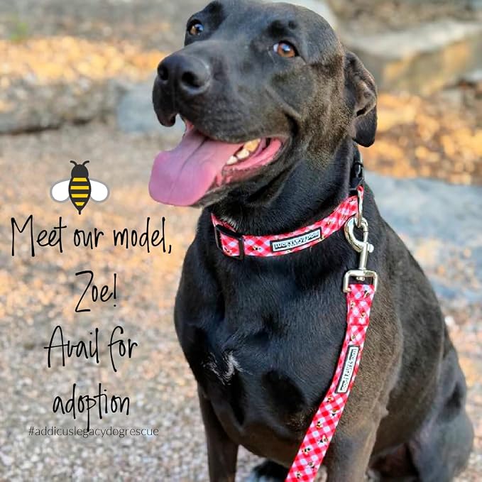 Lucky Love Dog - Easy Click Buckle Dog Collar with Leash Set Combo, Durable & Comfortable for Male & Female Dogs, Pet Collar for Small Dogs, Secure Fit - Bailey Combo, XS