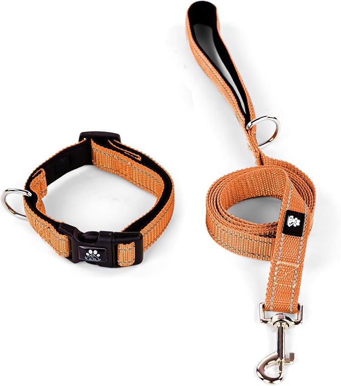 IVY&LANE Reflective Dog Collar and Leash Set,Adjustable Neoprene Padded Dog Collars for Puppy, Breathable Nylon Pet Collar for Small Medium Large Dogs (Medium,Orange)