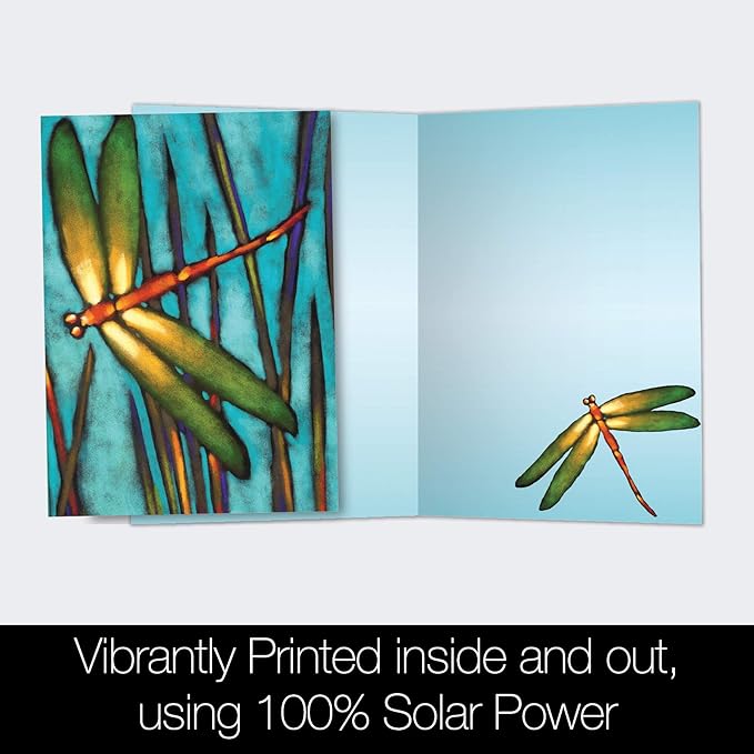 Tree-Free Greetings - All Occasion Cards - Artful Designs - 12 Greeting Cards + White Envelopes - Made in USA - 100% Recycled Paper - 4 x 6 - Beautiful Dragonfly (FS66501)
