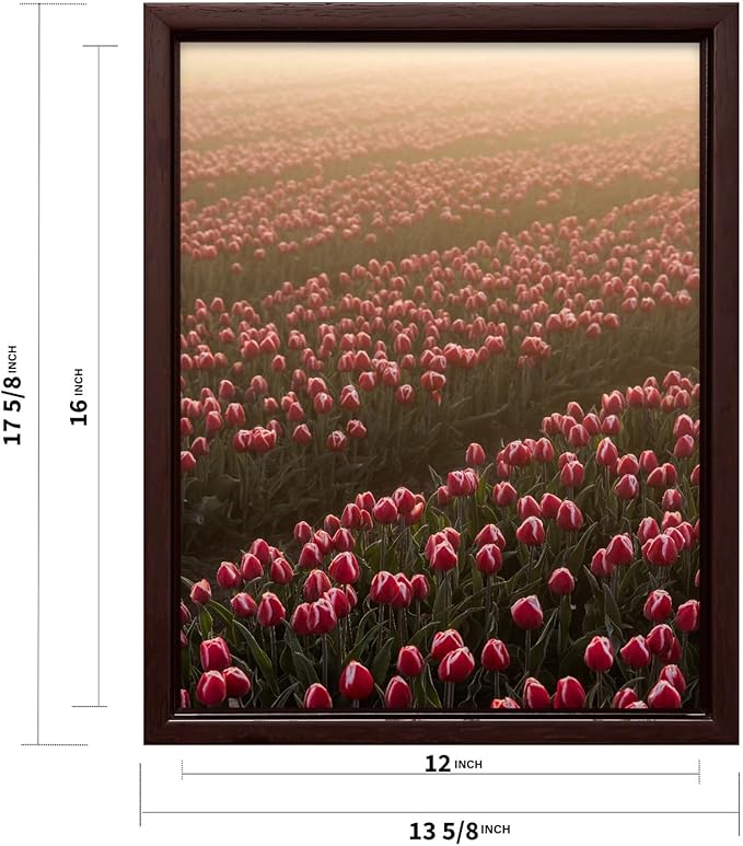 Monem Art Golden Tulip Field Sunset Photography Print - Romantic Spring Landscape Art Poster - Wall Decor for Living Room, Bedroom or Office - 12x16 Brown Framed CANVAS Wall Art by Mareike Bohmer