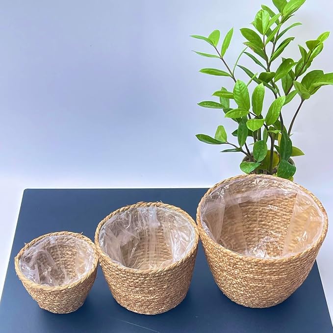 Laquedecraft Woven Seagrass Plant Basket Without Handles | Decorative Planter for Small-Space Living or Natural Home Styling | Perfect for Living Room, Balcony, Patio, Kitchen or Gadren (Set of 3)