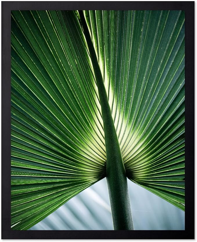 Monem Art Tropical Palm Leaf Macro Photography Print - Minimalist Botanical Nature Art Poster - Wall Decor for Living Room, Bedroom or Office - 8x10 Black Framed Wall Art by Mareike Bohmer