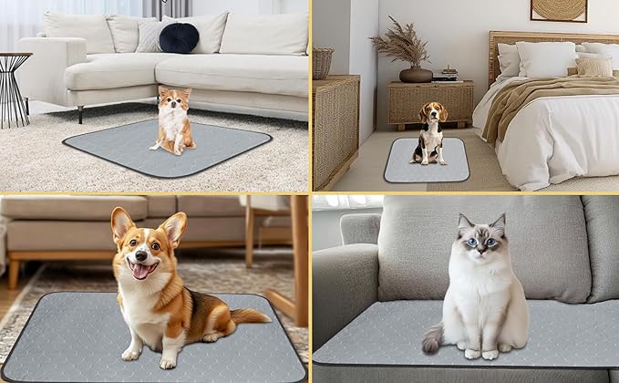DAHAPYBOO Extra Large Washable Pee Pads for Dogs 72x72,4 Pack | Reusable Puppy Pads for Dogs Non-Slip Waterproof Pet Training Pads for Crate, Playpen, Bed, Sofa,Whelping Box, Potty Training