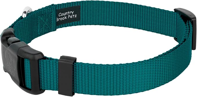 Country Brook Petz - Everyday Nylon Dog Collar and Leash - 10+ Cool Colors (3/8 Inch, 2XS, Teal)