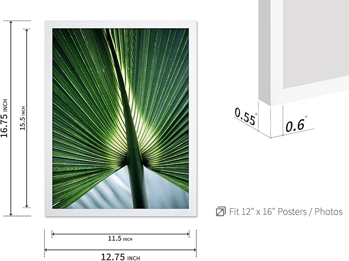 Monem Art Tropical Palm Leaf Macro Photography Print - Minimalist Botanical Nature Art Poster - Wall Decor for Living Room, Bedroom or Office - 12x16 White Framed Wall Art by Mareike Bohmer