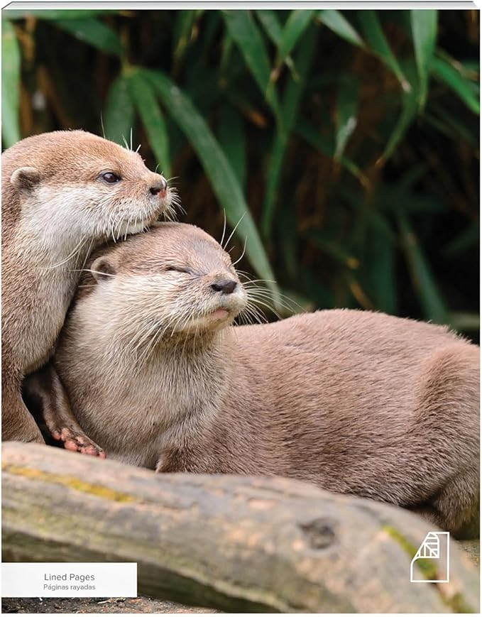 Photoreal Journal, 100% Recycled, Otters, 9.75" x 7.75", 192 Pages Lined, Perfect Bound, FSC Certified, Made in USA