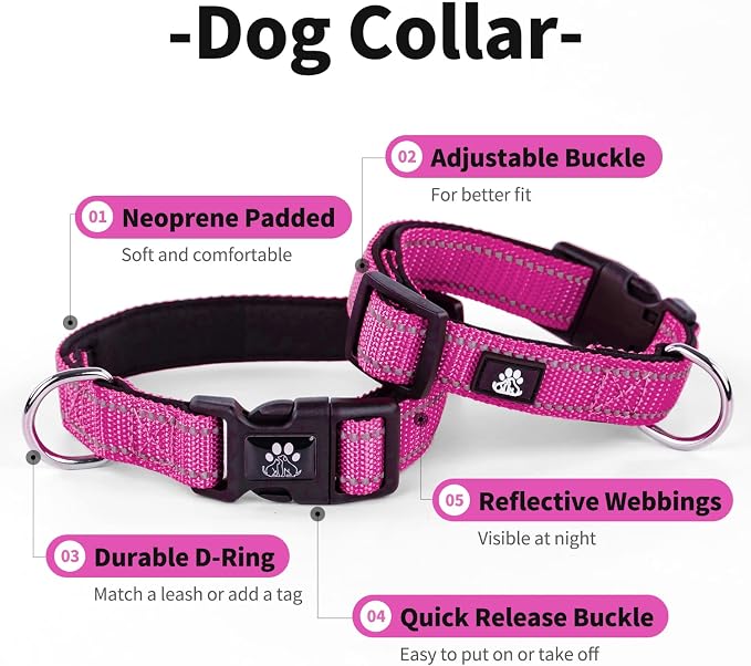 IVY&LANE Reflective Dog Collar and Leash Set,Adjustable Neoprene Padded Dog Collars, Breathable Nylon Pet Collar for Small Medium Large Dogs(Small,Fuchsia Pink)