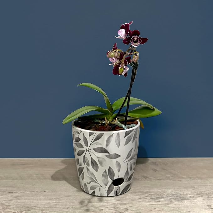 7" & 5" Round Self-Watering Plant Pot Set, Indoor/Outdoor Use