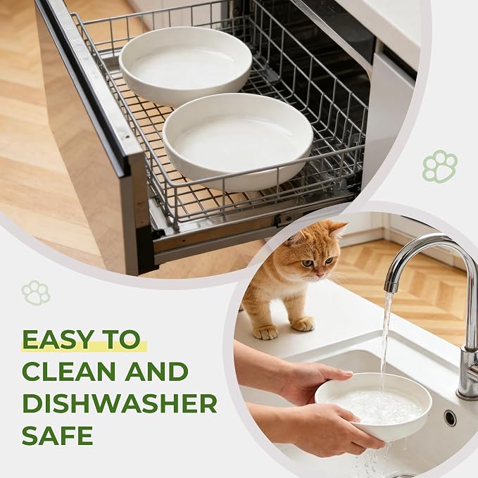 Raised Ceramic Cat Bowl 6.3" Wide Shallow Flat Bottom (2 Pack) | Neck Protective, Anti Whisker Fatigue, Anti Vomit, Dishwasher Safe, For Dry and Wet Food, For Kittens & Seniors