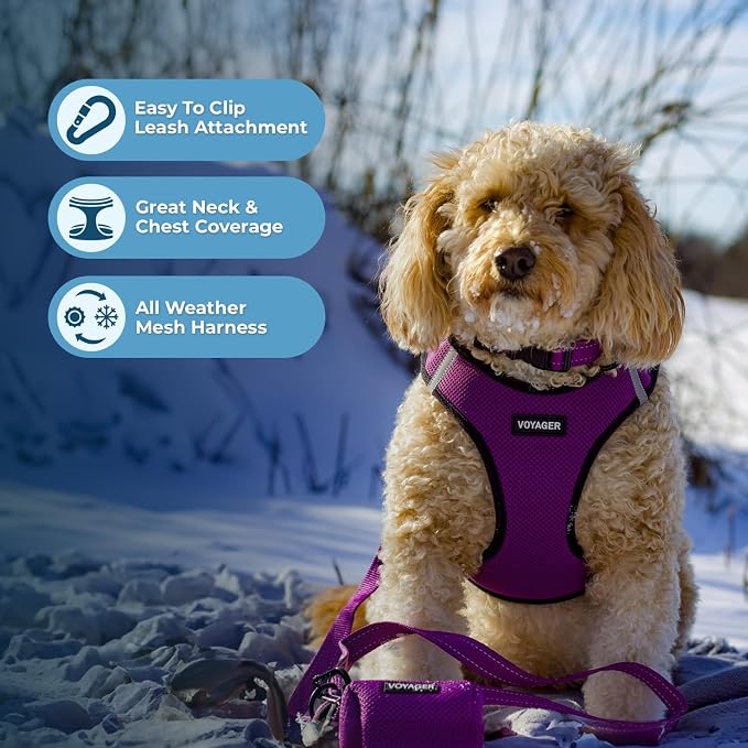 Best Pet Supplies Voyager Step-in Air All Weather Mesh Harness and Reflective Dog 5ft Leash Combo with Neoprene Handle, for Small, Medium and Large Breed Puppies - Purple/Black Trim, Medium