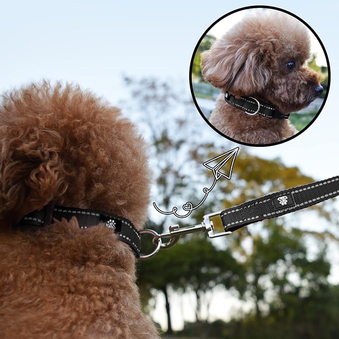NESTROAD Dog Collar and Leash Set,Reflective Dog Collars with Quick Release Buckle,Adjustable Nylon Pet Collar for Small Medium Large Dogs(Large,Black)