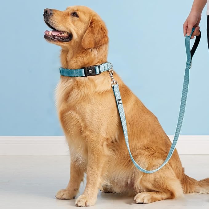 FURRYFECTION Reflective Dog Collar and Leash Set With Quick Release Buckle, Padded Neoprene Adjustable Nylon for Small Medium and Large Dogs (Small Collar+5FT Leash, Blue)