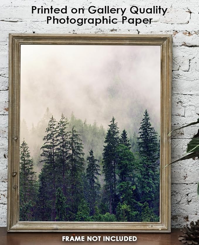Buzz Unplugged Foggy Forest Abstract Wall Art: Minimalist, Aesthetic & Boho Wall Art for Home, Office, Bedroom & Living Room Decor - Unframed Posters 11x14