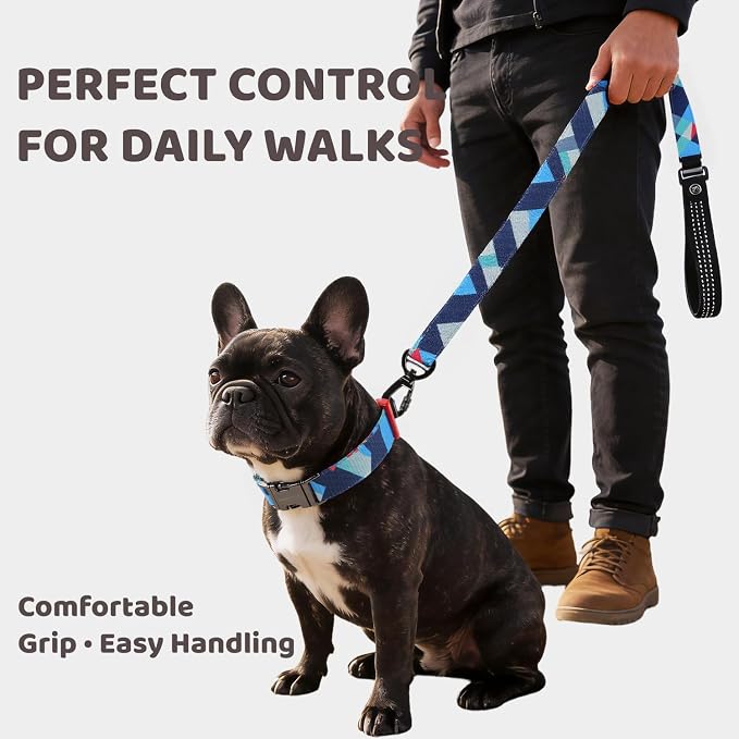 EVERKING Dog Collar & Leash Set for Everyday Walking | Matching adjustable collar and leash set with reflective handle and heavy-duty hardware for comfortable everyday dog walks.