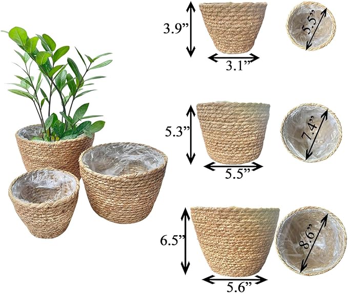 Laquedecraft Woven Seagrass Plant Basket Without Handles | Decorative Planter for Small-Space Living or Natural Home Styling | Perfect for Living Room, Balcony, Patio, Kitchen or Gadren (Set of 3)
