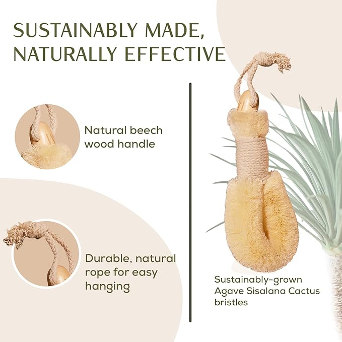 CSM Agave Plant-Based Dry Body Brush: Natural Firm Bristles for Lymphatic Drainage, Cellulite Reduction, Exfoliation, Detox, Circulation & Skin Glow