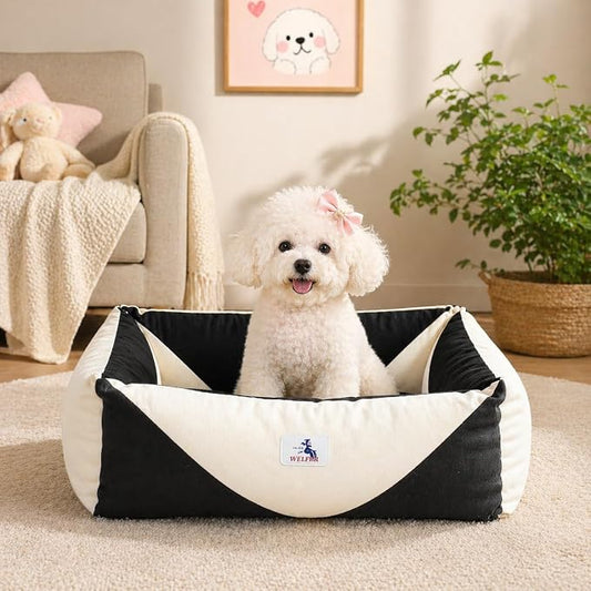 Cotton Canvas Dog Bed, Cute Dog Beds for Small Dogs, Puppy Bed with Washable Removable Cover, Durable 290 GSM Cotton Anti-Chewing Pet Bed with Anti-Slip Bottom (24"x20"x8", Black&White)