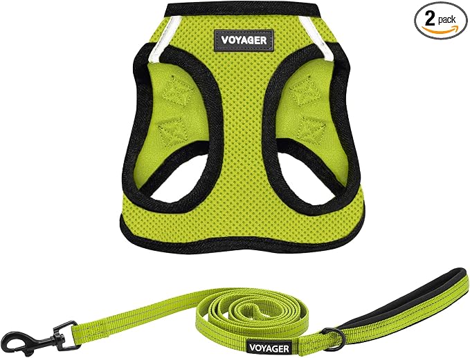 Best Pet Supplies Voyager Step-in Air All Weather Mesh Harness and Reflective Dog 5ft Leash Combo with Neoprene Handle, for Small, Medium and Large Breed Puppies - Set (Lime/Black Trim), Medium