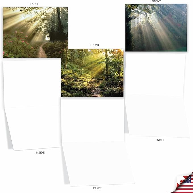The Best Card Company - Box of 10 All Occasion Cards Blank (4 x 5.12 Inch) - Scenic Landscape Cards Assorted - Shining Through M1735BN