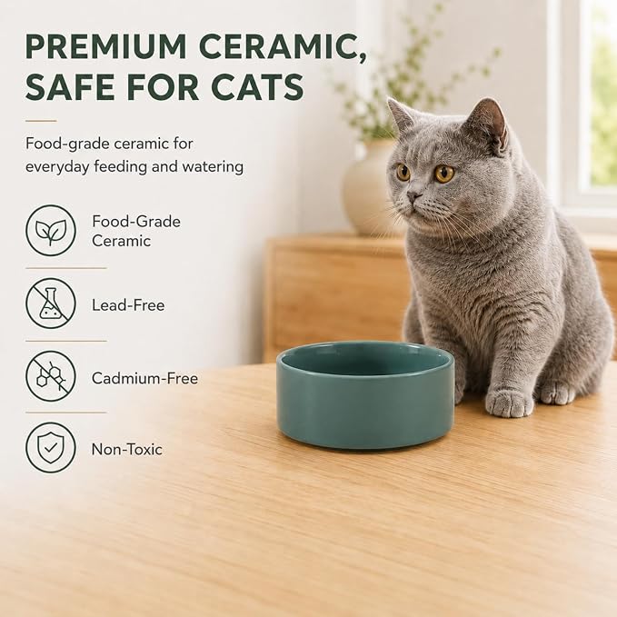 Havniva Cat Bowls Water Bowl Set of Two, 5.1” Ceramic Cat Food and Water Bowl Whisker Friendly Pet Food Bowls for Indoor Cats, Wide Cat Water Dish Prevent Whisker Fatigue Non Slip Cat Feeder
