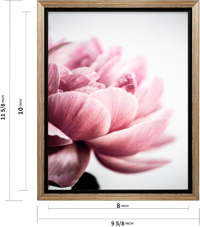Monem Art Pink Peony Macro Photography Print - Minimalist Floral Art Poster - Wall Decor for Living Room, Bedroom or Office - 8x10 Silver Framed CANVAS Wall Art by Mareike Bohmer