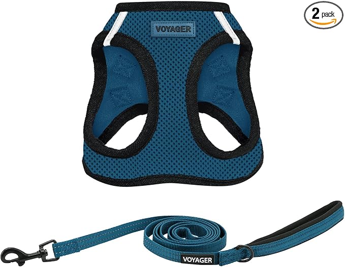 Best Pet Supplies Voyager Step-in Air All Weather Mesh Harness and Reflective Dog 5ft Leash Combo with Neoprene Handle, for Small, Medium and Large Breed Puppies - Blue/Black Trim, Large