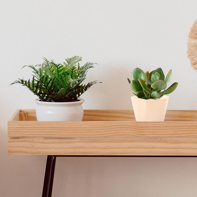 FRCOLOR Biodegradable Aloe Succulent Planter Pot with White Tray for Indoor Garden Desktop Plant Holder Eco-Friendly Planting Basin