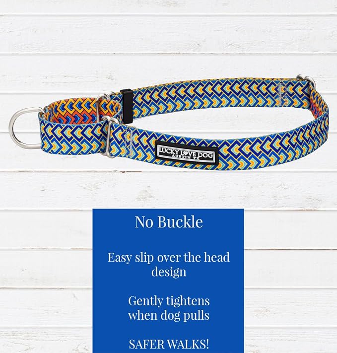 Lucky Love Dog Martingale Collar and Leash Set, Premium No Slip Collar for Male Dogs, Comfortable & Soft Martingale Dog Collars, Great for Whippets, Greyhounds, and More (Murphy, Medium - Combo)