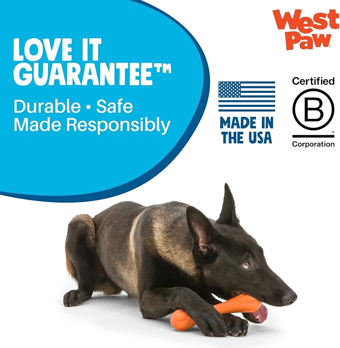 WEST PAW Zogoflex Hurley Dog Bone Chew Toy – Floatable Pet Toys for Aggressive Chewers, Catch, Fetch – Bright-Colored Bones for Dogs – Recyclable, Dishwasher-Safe, Non-Toxic, Small, Granny Smith