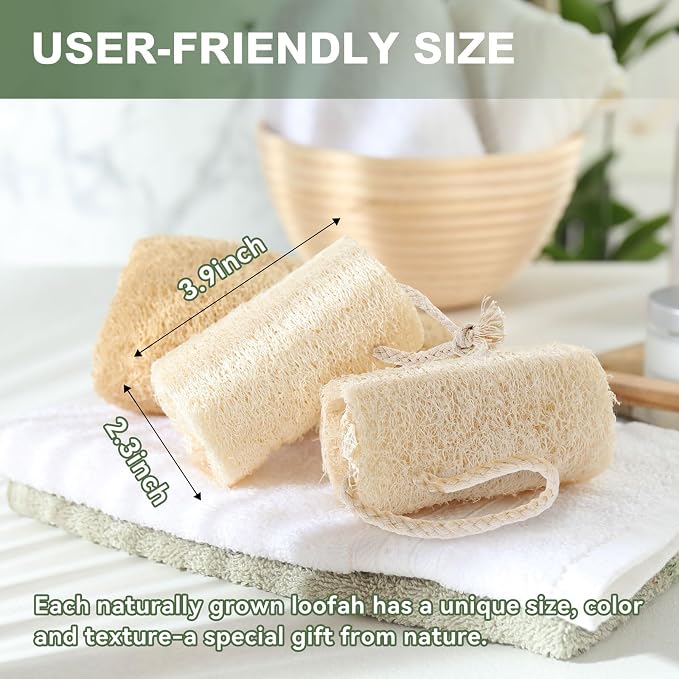 Natural Loofah Sponge Exfoliating Body Scrubber,4"Organic Egyptian Loofah for Men Women,Reusable Bath Sponge for Shower Face, Back & Body,Eco-Friendly Bath Loofah for Deep Cleansing &Smooth Skin 4Pcs