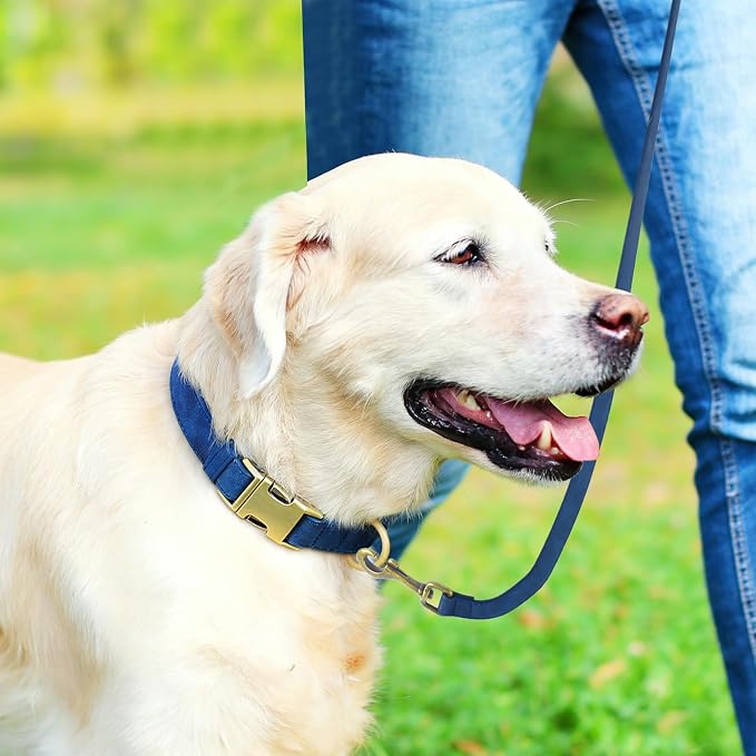 Genuine Leather Dog Collar - Adjustable Pet Collar with Quick Release Metal Buckle, Soft Skin Friendly Real Leather Collar for Small, Medium, Large Dogs (Blue, L：Fit 15-23" Neck)